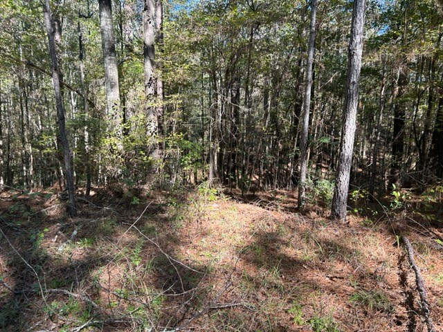 550 Union Church Ms 39668 Wesson, MS 39191 - Photo 20 of 53 Photo 20