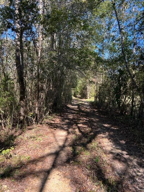 550 Union Church Ms 39668 Wesson, MS 39191 - Photo 2 of 53 Photo 2