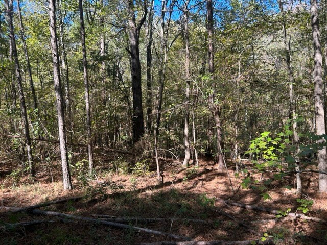 550 Union Church Ms 39668 Wesson, MS 39191 - Photo 21 of 53 Photo 21