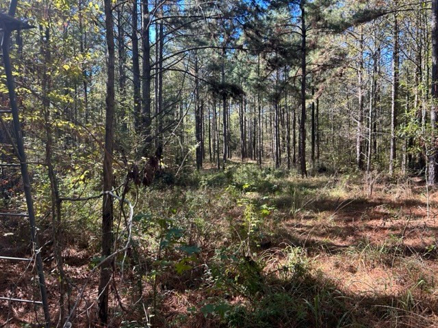 550 Union Church Ms 39668 Wesson, MS 39191 - Photo 23 of 53 Photo 23