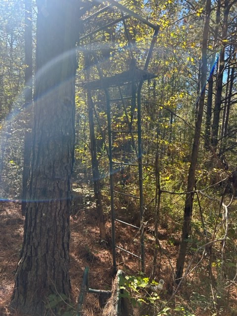 550 Union Church Ms 39668 Wesson, MS 39191 - Photo 24 of 53 Photo 24