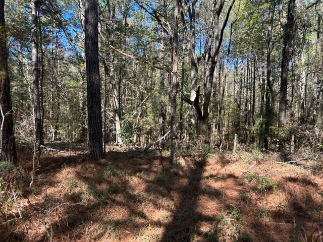 550 Union Church Ms 39668 Wesson, MS 39191 - Photo 25 of 53 Photo 25