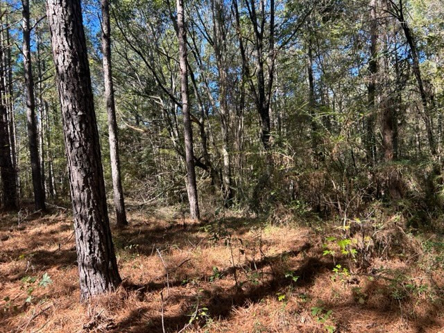 550 Union Church Ms 39668 Wesson, MS 39191 - Photo 26 of 53 Photo 26