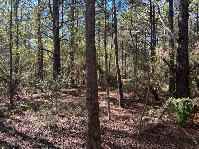 550 Union Church Ms 39668 Wesson, MS 39191 - Photo 27 of 53 Photo 27