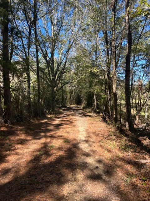 550 Union Church Ms 39668 Wesson, MS 39191 - Photo 28 of 53 Photo 28