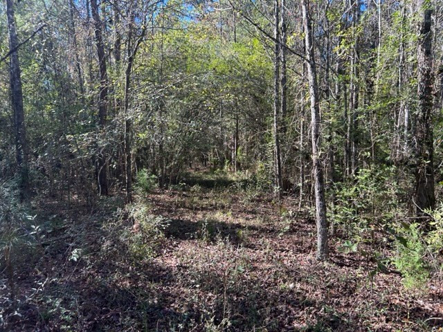 550 Union Church Ms 39668 Wesson, MS 39191 - Photo 30 of 53 Photo 30