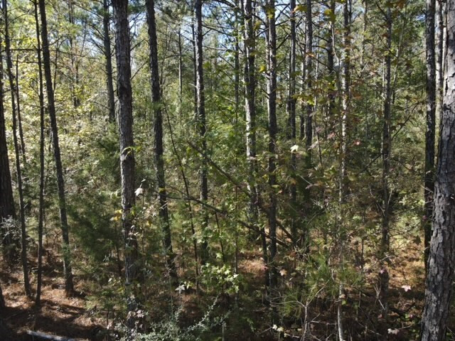 550 Union Church Ms 39668 Wesson, MS 39191 - Photo 31 of 53 Photo 31