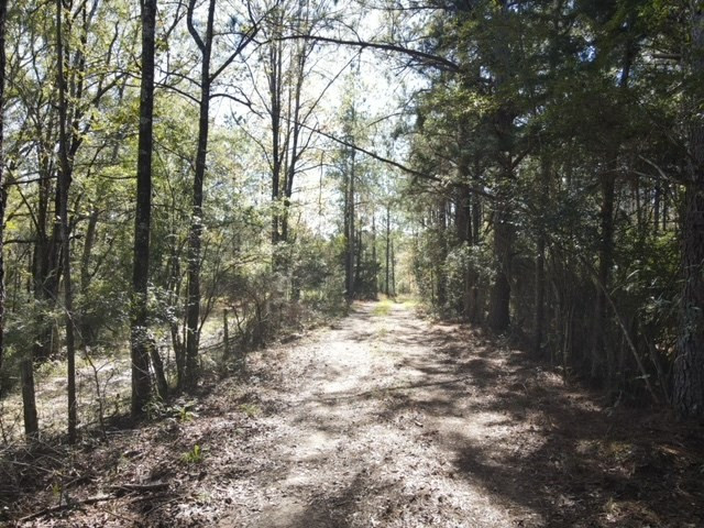 550 Union Church Ms 39668 Wesson, MS 39191 - Photo 32 of 53 Photo 32