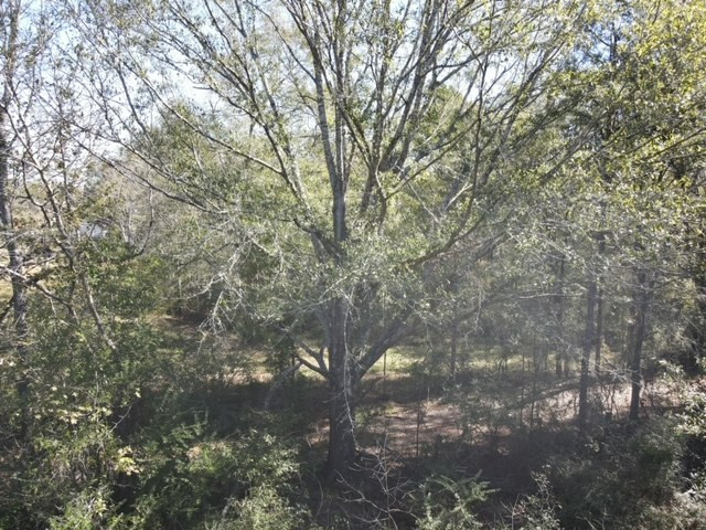 550 Union Church Ms 39668 Wesson, MS 39191 - Photo 34 of 53 Photo 34