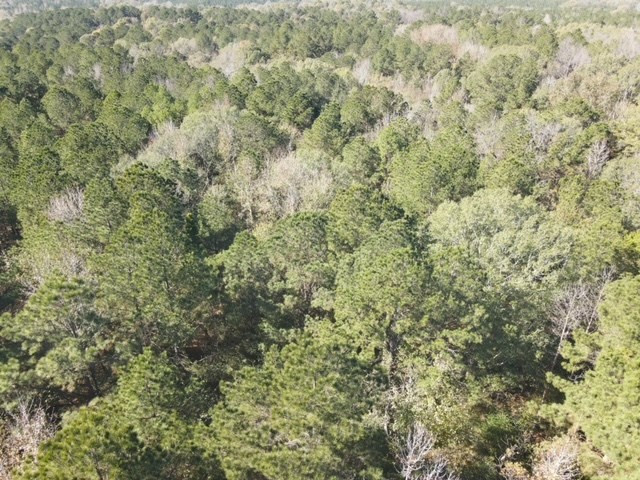 550 Union Church Ms 39668 Wesson, MS 39191 - Photo 36 of 53 Photo 36