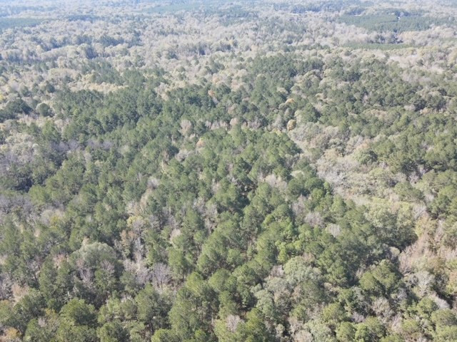 550 Union Church Ms 39668 Wesson, MS 39191 - Photo 38 of 53 Photo 38