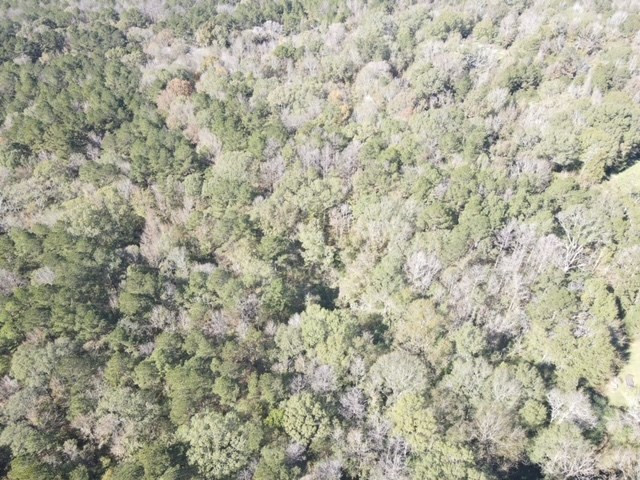 550 Union Church Ms 39668 Wesson, MS 39191 - Photo 39 of 53 Photo 39