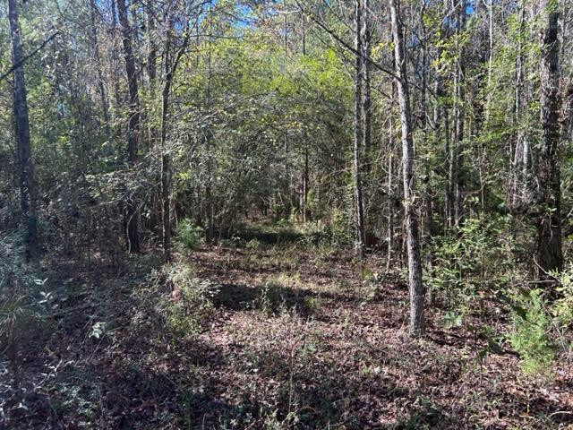 550 Union Church Ms 39668 Wesson, MS 39191 - Photo 40 of 53 Photo 40