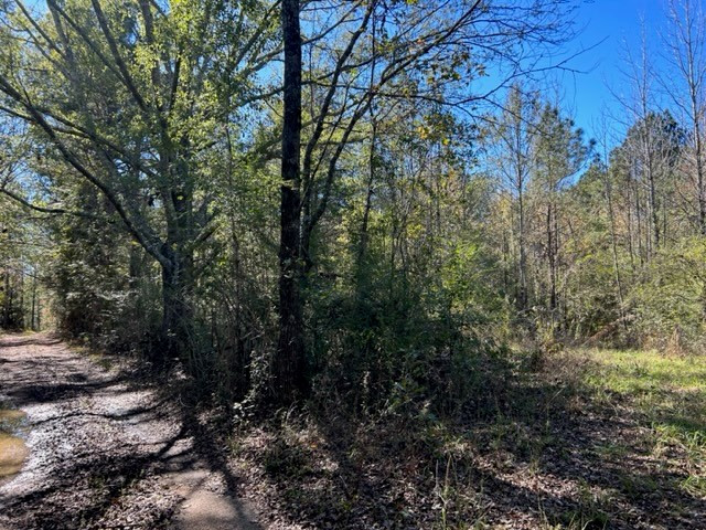 550 Union Church Ms 39668 Wesson, MS 39191 - Photo 42 of 53 Photo 42