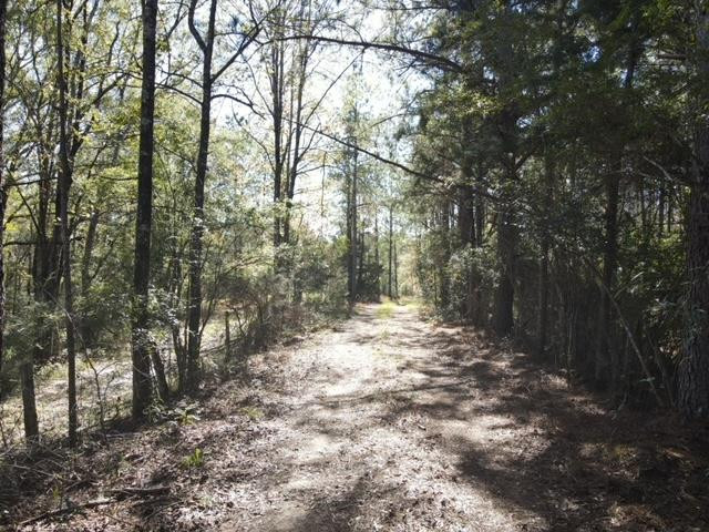 550 Union Church Ms 39668 Wesson, MS 39191 - Photo 44 of 53 Photo 44