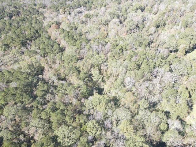 550 Union Church Ms 39668 Wesson, MS 39191 - Photo 50 of 53 Photo 50