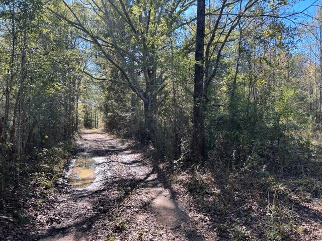 550 Union Church Ms 39668 Wesson, MS 39191 - Photo 51 of 53 Photo 51