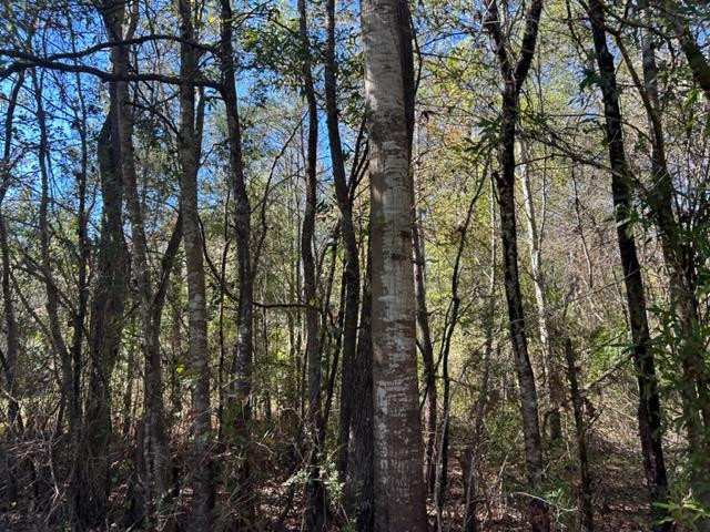 550 Union Church Ms 39668 Wesson, MS 39191 - Photo 53 of 53 Photo 53