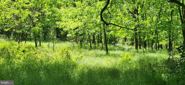 a view of lake with green space