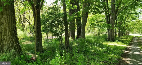 $50,000 | Little Antietam Road, Hagerstown, MD 21742