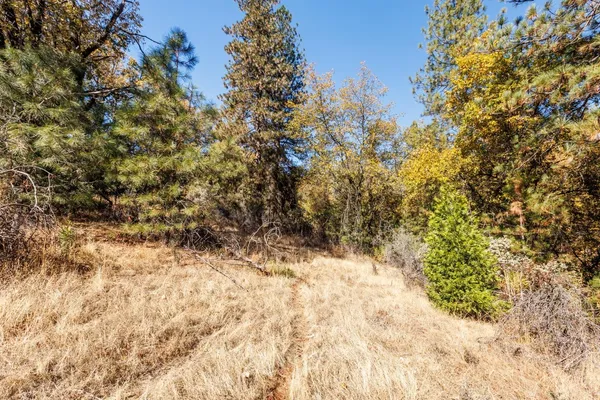 a view of white fence