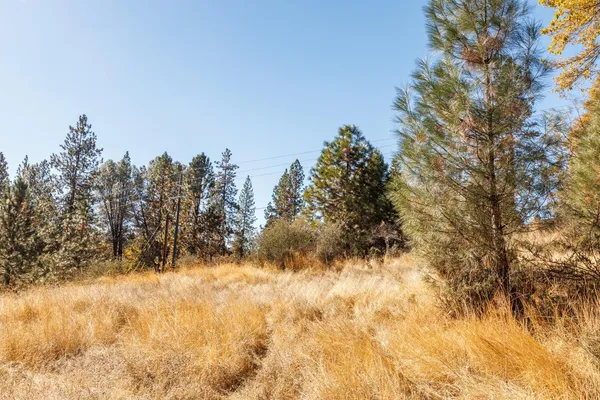 a view of a yard covered with snow in outdoor space