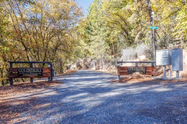a view of a bench in a yard
