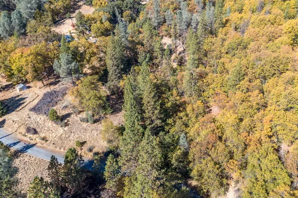 a view of a yard with a tree