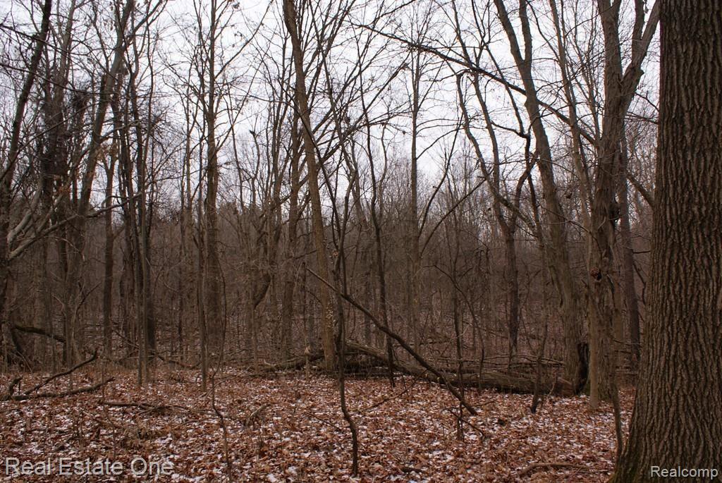 1 Gray Road Lapeer, MI 48446 - Photo 11 of 18