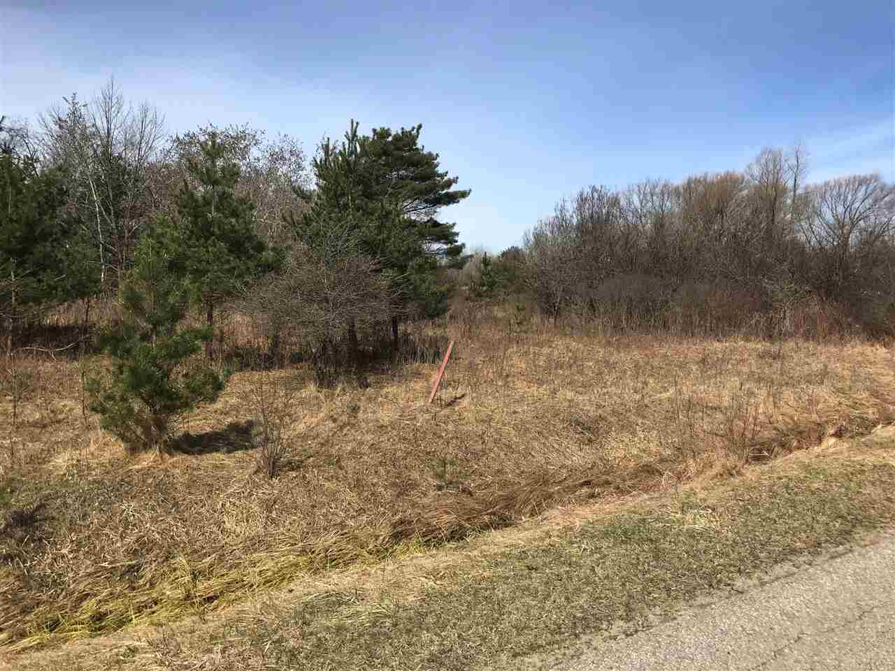 291 Track Iron Trail Gladwin, MI 48624 - Photo 4 of 18
