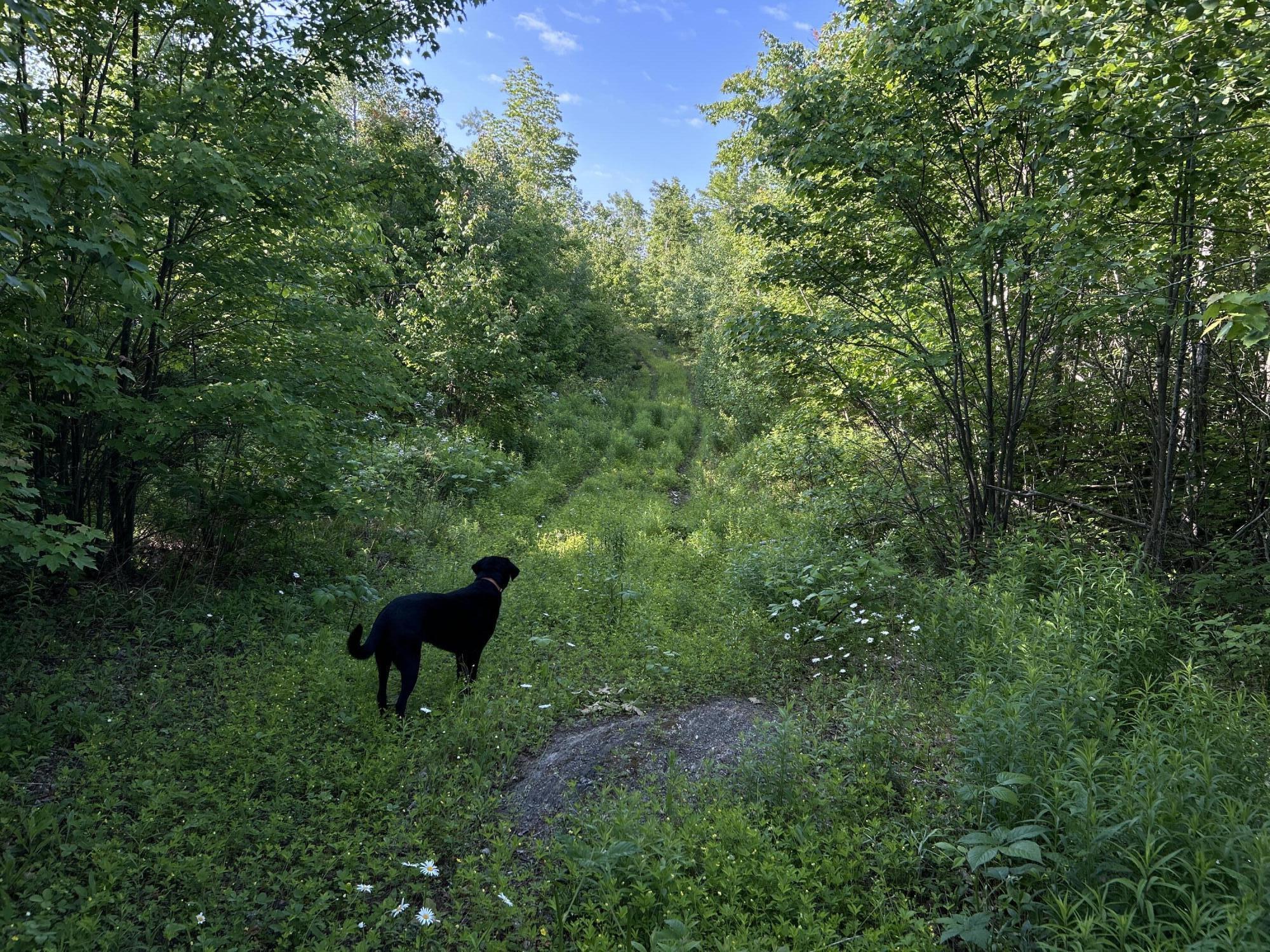 M4-l19 Village Road Jackson, ME 04921 - Photo 13 of 28 IMG_4791