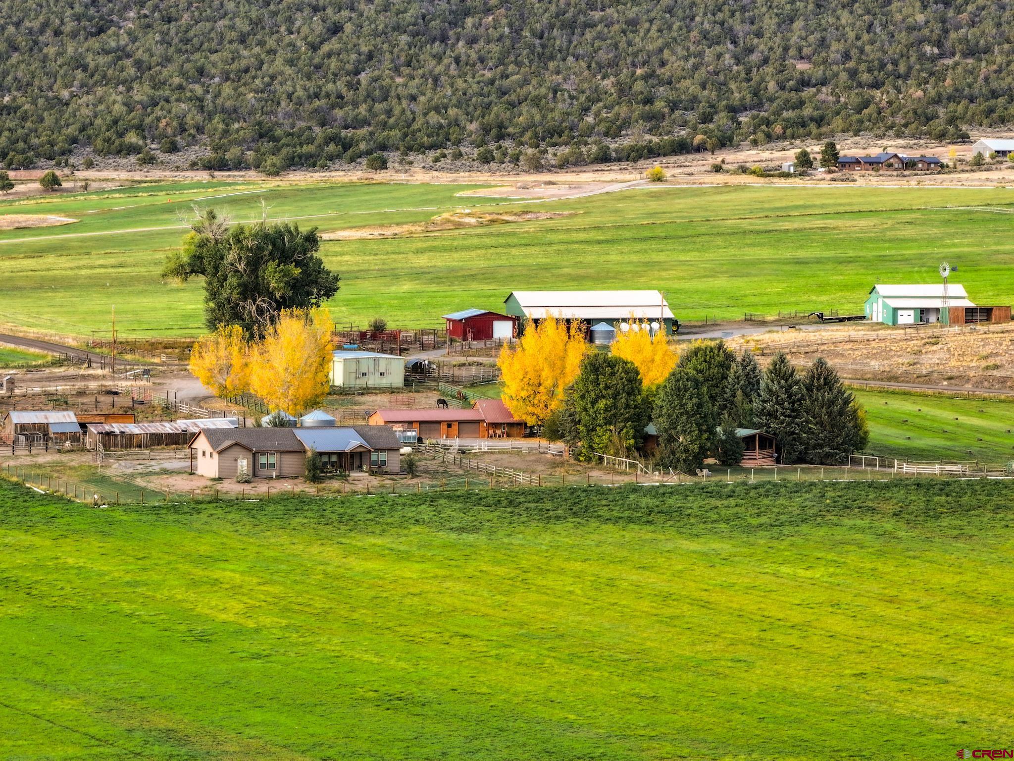 10203 Bostwick Park Road Montrose, CO 81401 - Photo 3 of 40