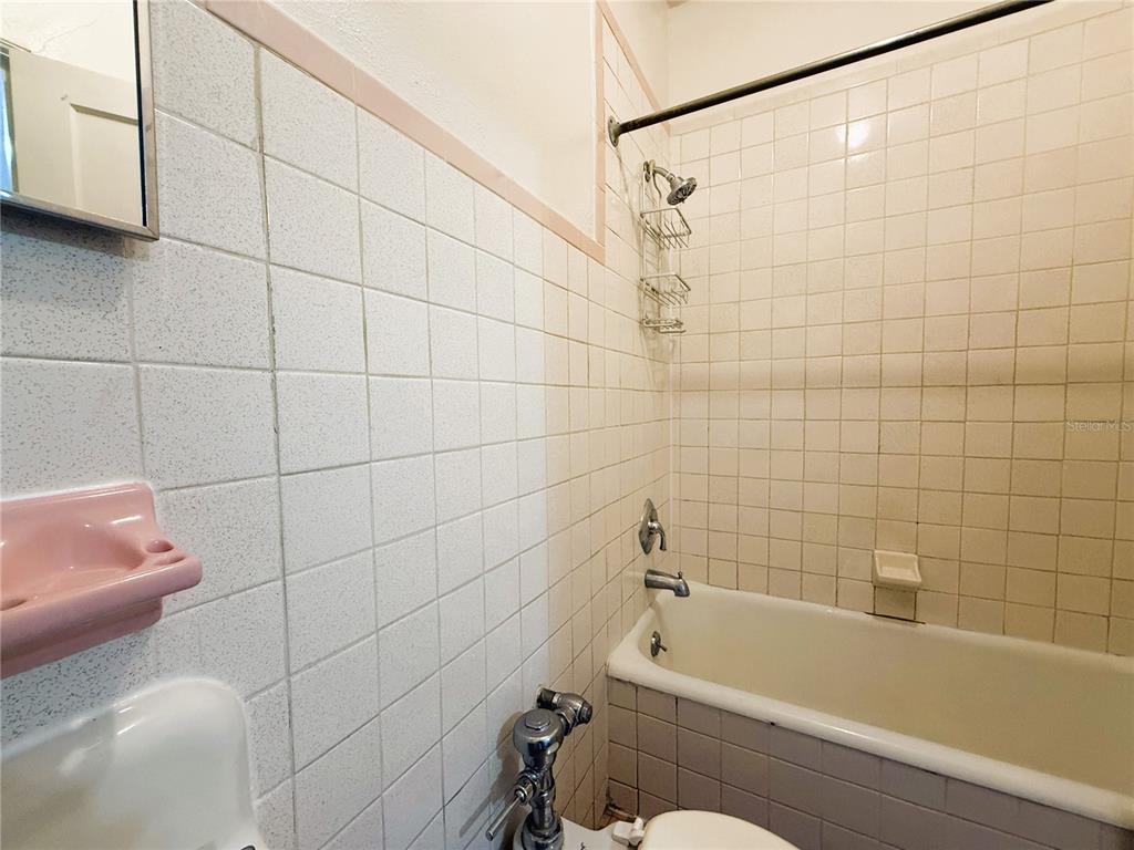 315 Ridge Manor Drive Lake Wales, FL 33853 - Photo 38 of 87