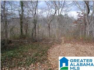 5054 Shady Grove Road Mount Olive, AL 35117 - Photo 1 of 1
