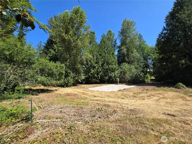 a view of a yard with trees