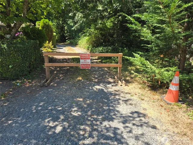 a plant that is in a field