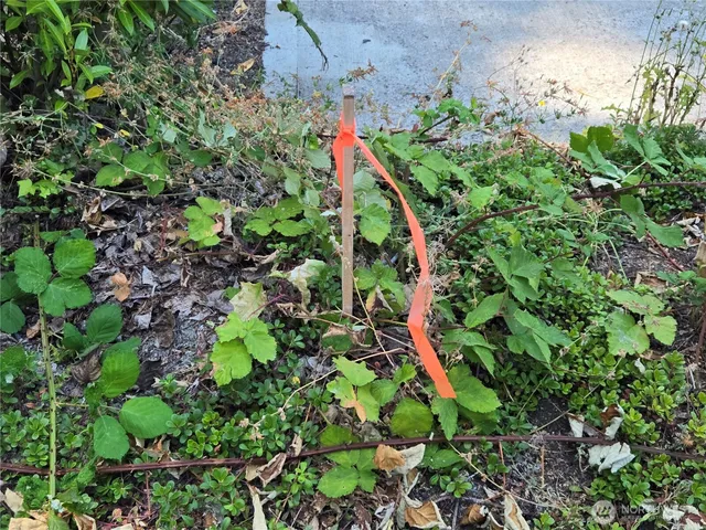 a picture of street view