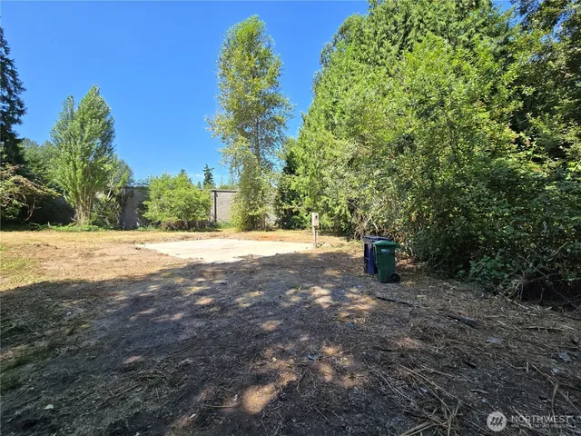 a view of dirt yard with a large tree