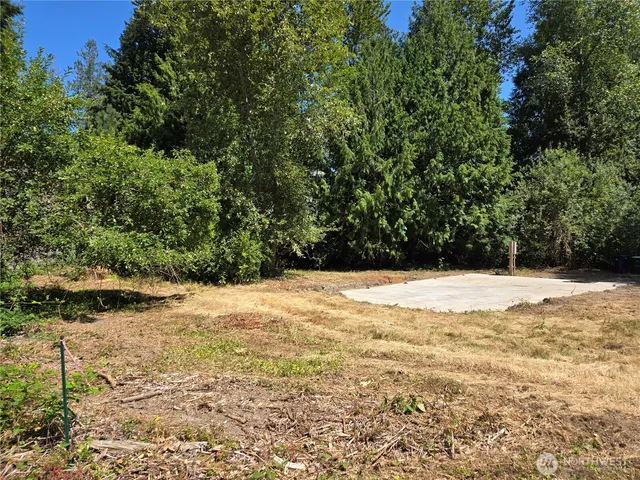 a view of a yard with plants and a large tree