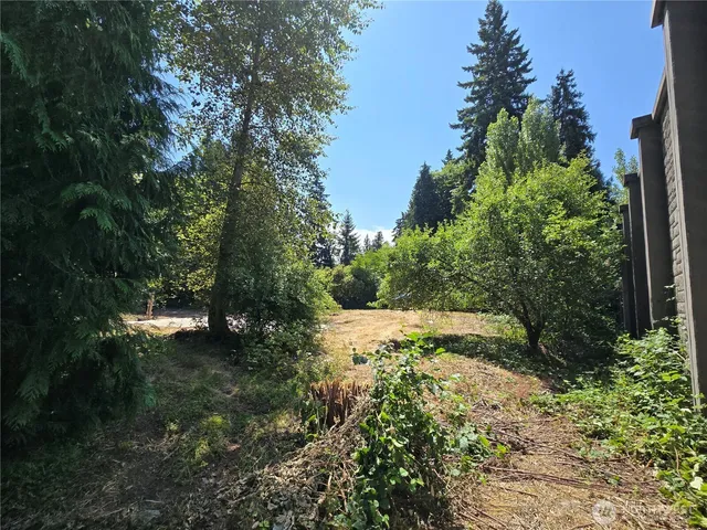 a view of a backyard