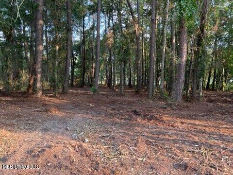 0 Ocean Springs Road Ocean Springs, MS 39564 - Photo 2 of 3 20230914153220942931000000-o