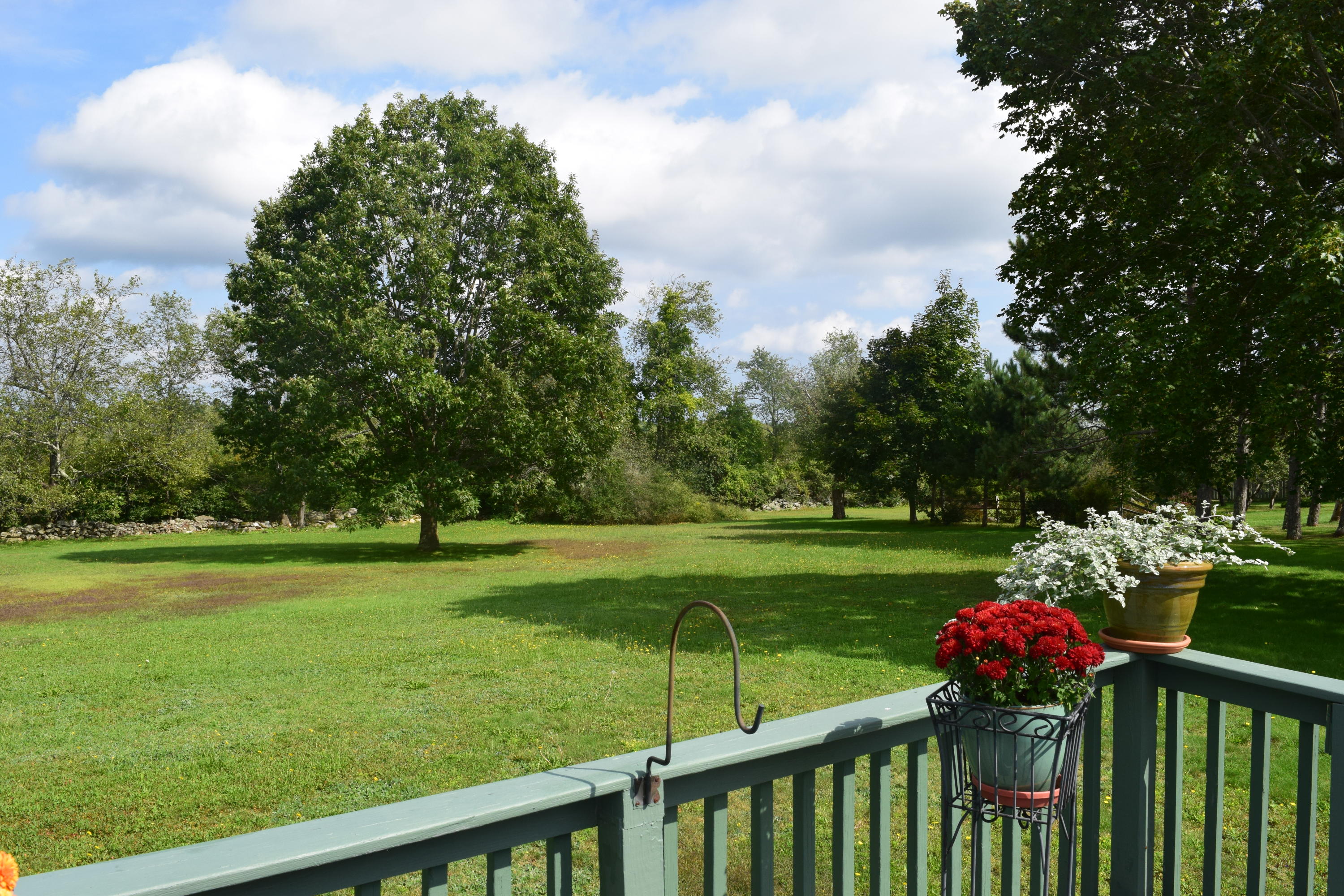 8 Edgecomb Road Belfast, ME 04915 - Photo 10 of 23 Relax in this beautiful backyard.