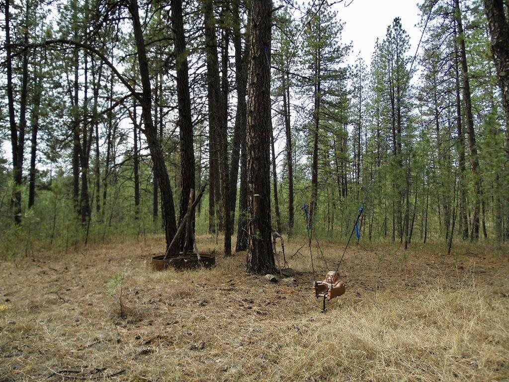4822 Highway 231 Springdale, WA 99173 - Photo 21 of 32