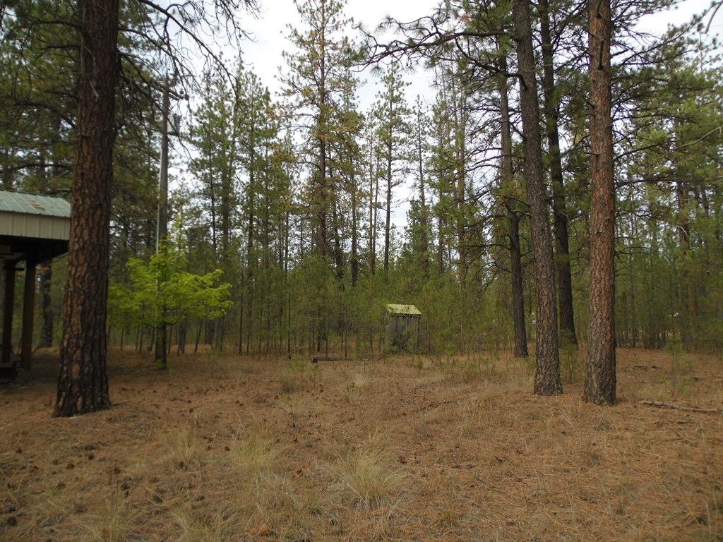 4822 Highway 231 Springdale, WA 99173 - Photo 22 of 32