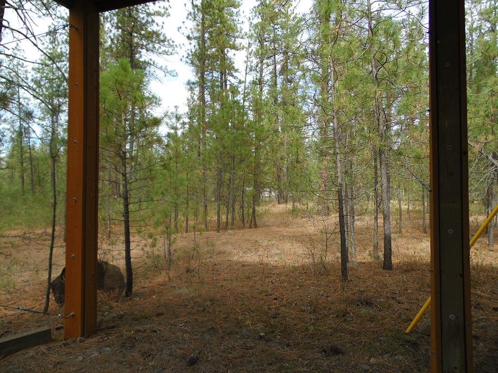 4822 Highway 231 Springdale, WA 99173 - Photo 5 of 32