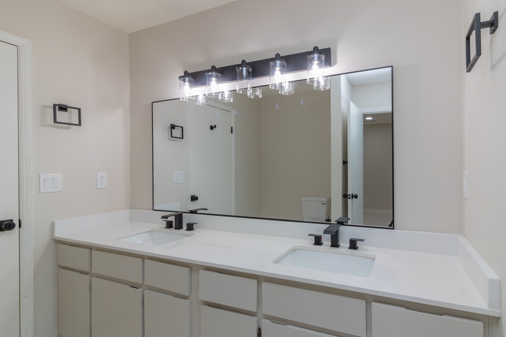 8585 McKee Road Upatoi, GA 31829 - Photo 31 of 62 a bathroom with a sink and a mirror