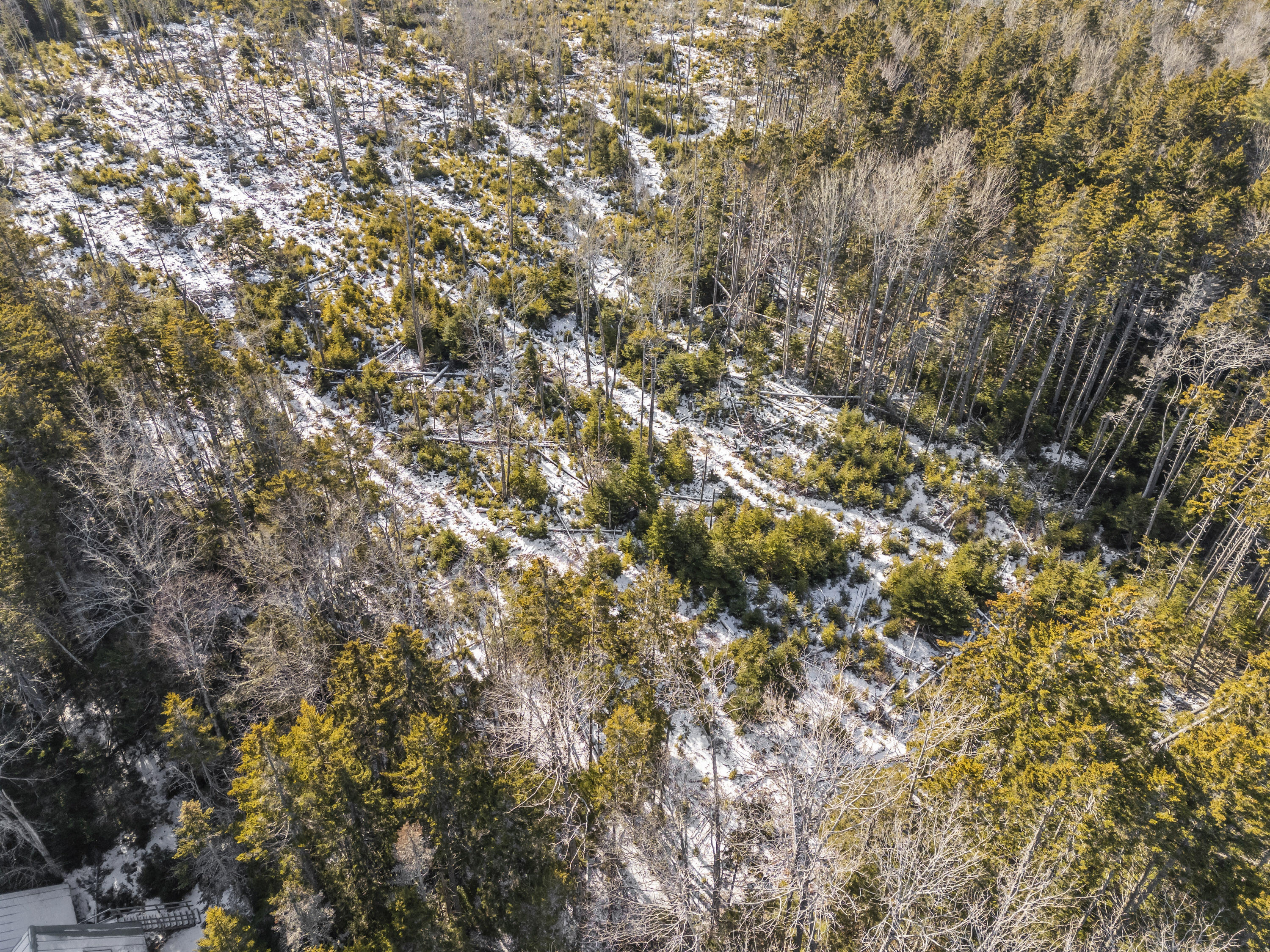 Lot 54 Harrington Cove Road Spruce Head, ME 04859 - Photo 19 of 34 54 Harrington Cove Rd_118