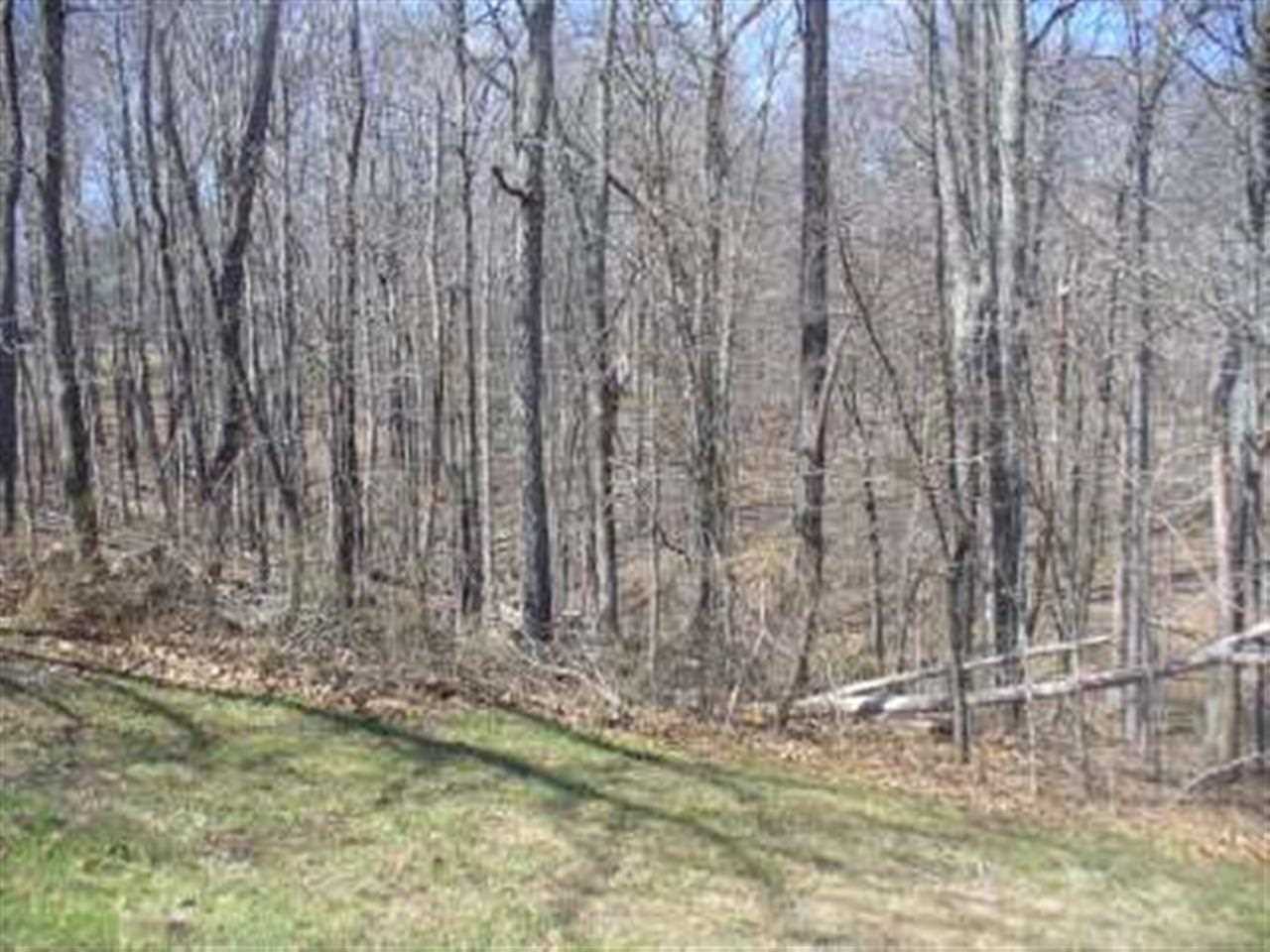 7545 East Lampkins Ridge Road Bloomington, IN 47401 - Photo 5 of 5