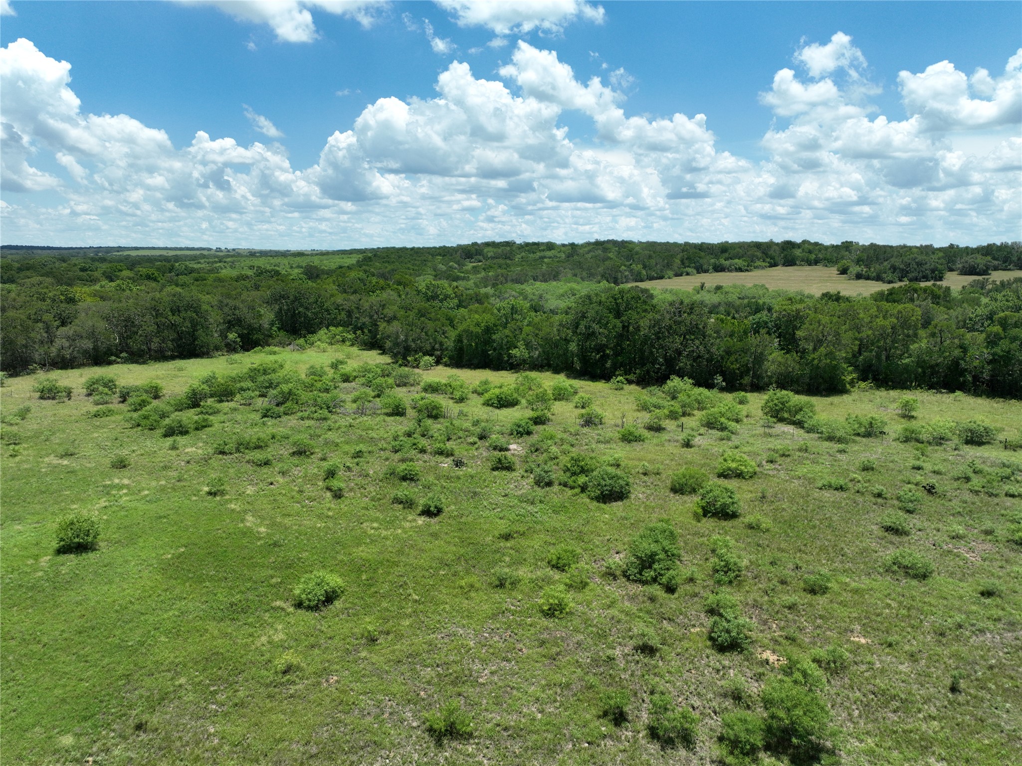 Tbd Lot 4 Tbd Road Dale, TX 78616 - Photo 22 of 24 View of nature
