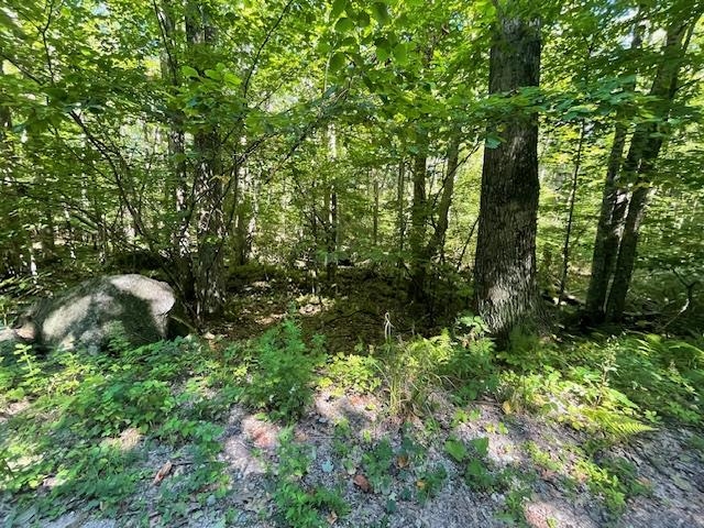 0 Whitney Road, Unit 132 Henniker, NH 03242 - Photo 1 of 20 Gallery Image 1